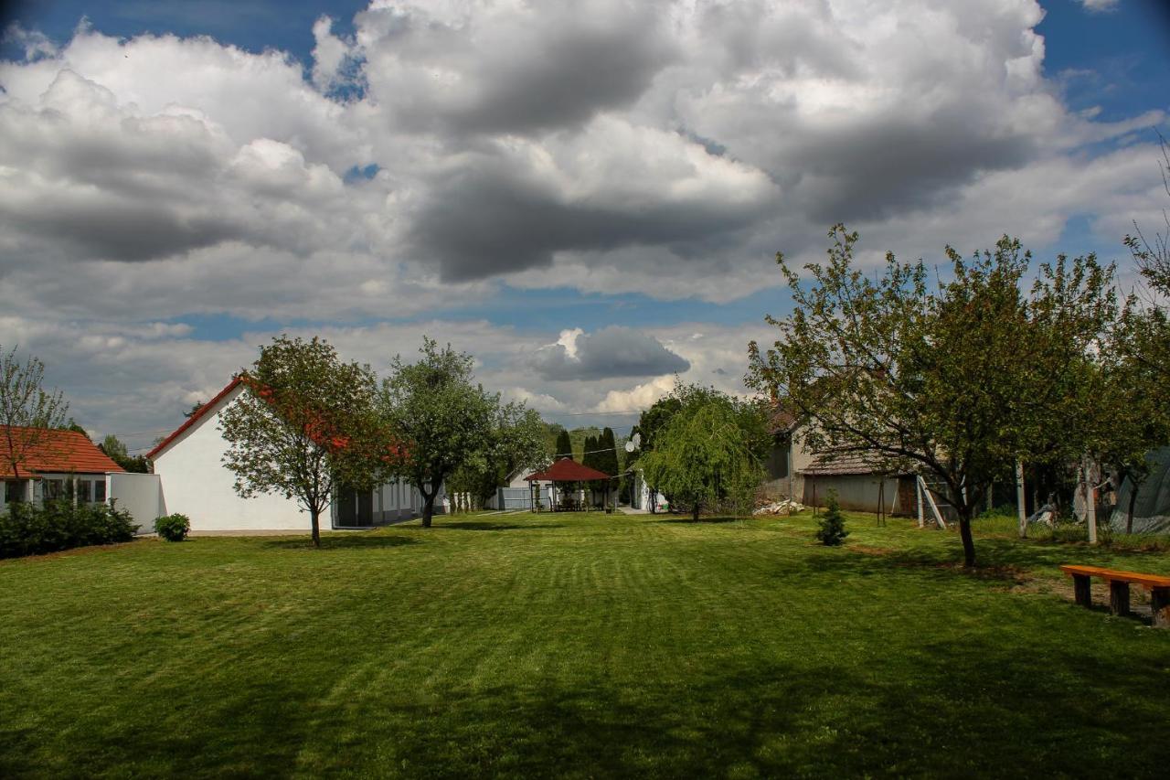 Das Blaue Haus Guesthouse - Kovacshida Екстер'єр фото